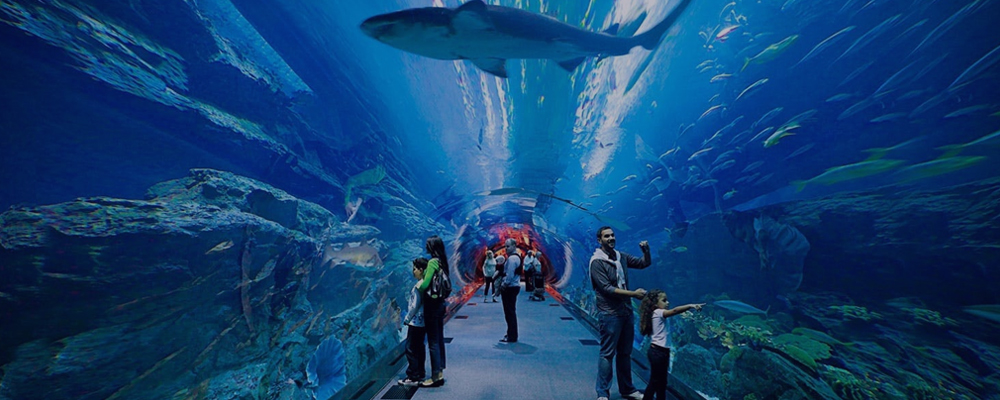 Dubai Aquarium & Underwater Zoo